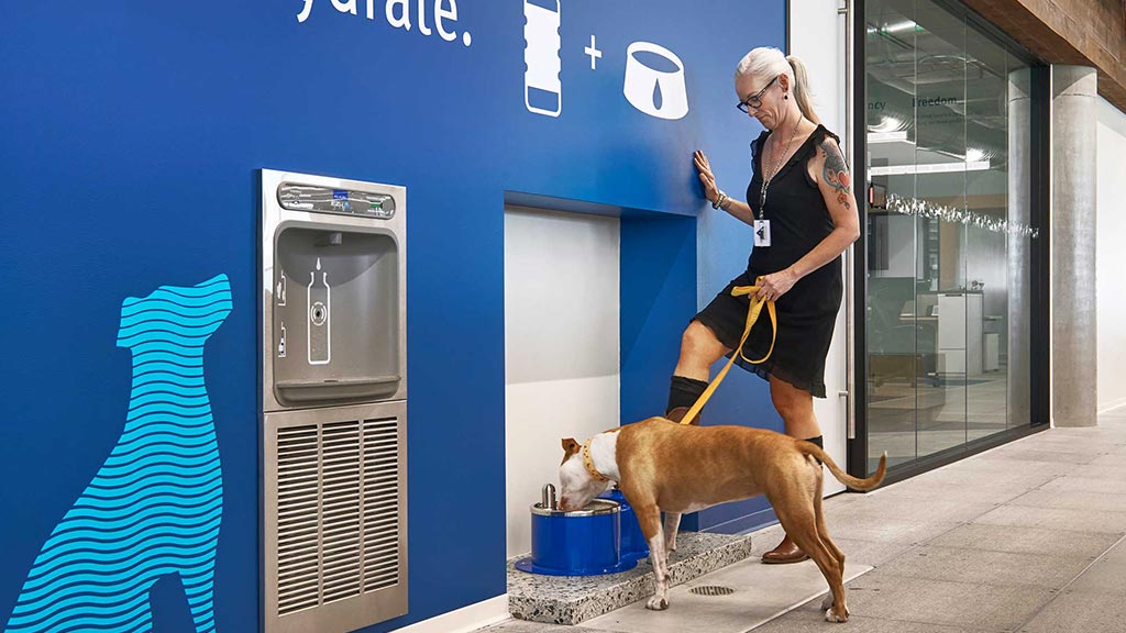 A man walking a dog.