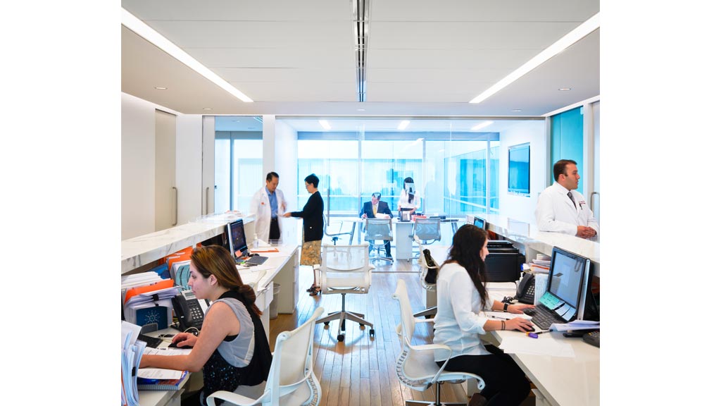 A group of people in an office.
