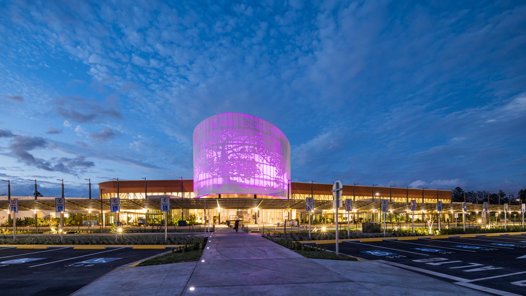 A large ferris wheel at night.