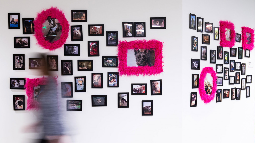 A wall with pictures on it.