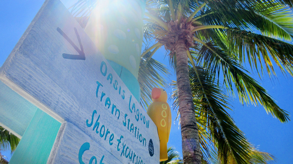 A sign next to a palm tree.
