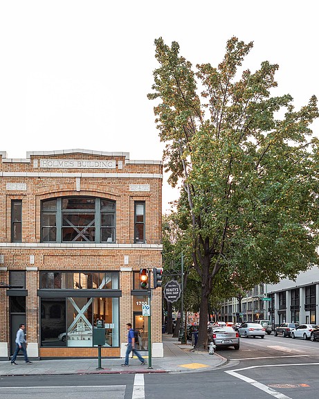A tree next to a building.