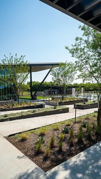A walkway with trees and grass.