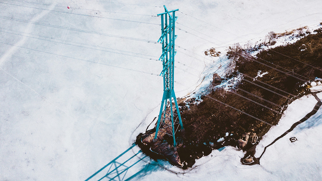 A blue crane in the snow.