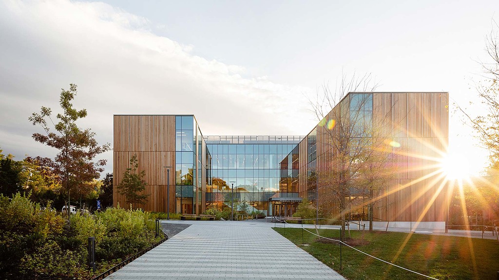 A walkway leading to a building.