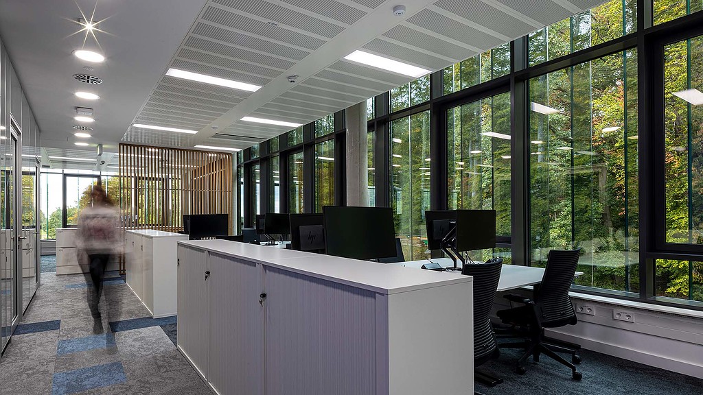 A person working in an office.