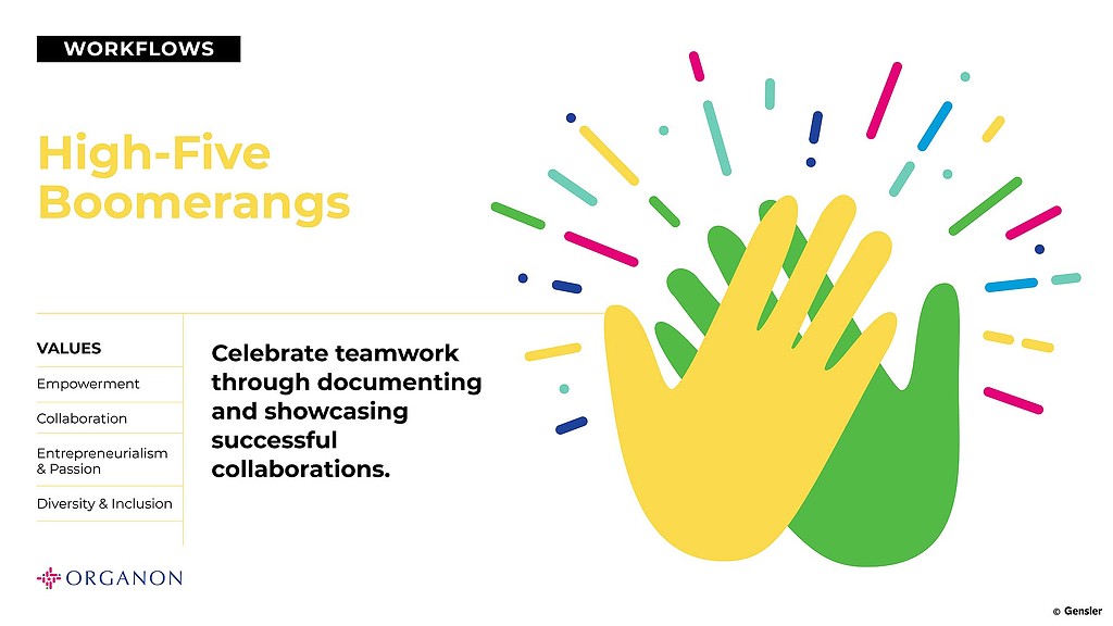 Organon High-Five Boomerangs