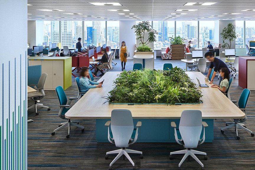 Tokyo law firm office work stations with biophilia