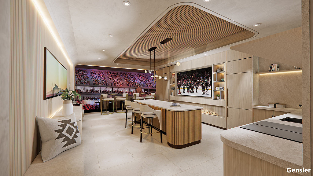 Arizona Coyotes Arena and Entertainment District suite