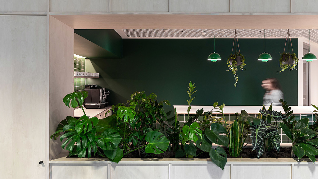 Korn Ferry Paris office with plants and a dark green wall
