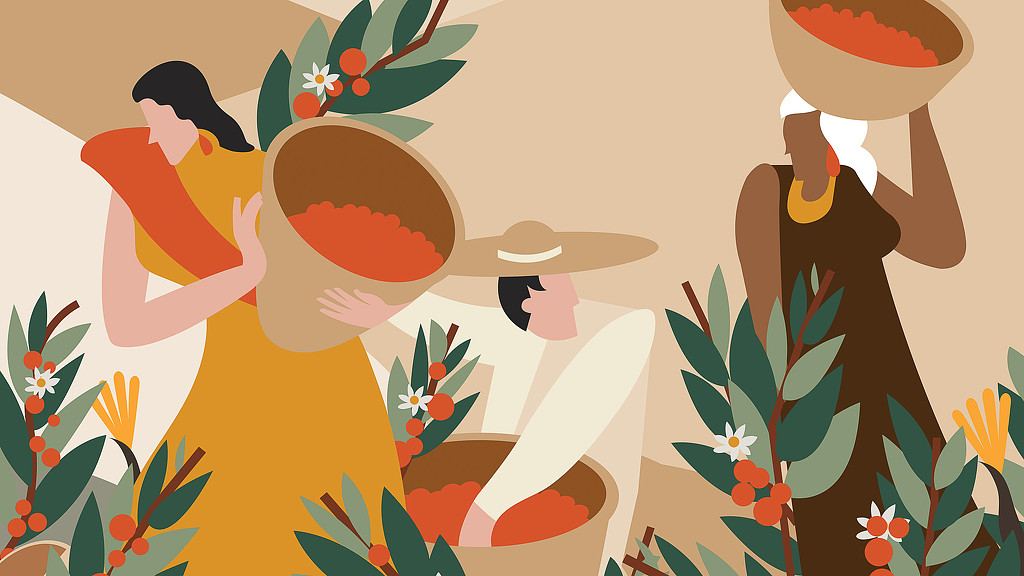 Espresso Americano graphic of 3 people gathering coffee beans