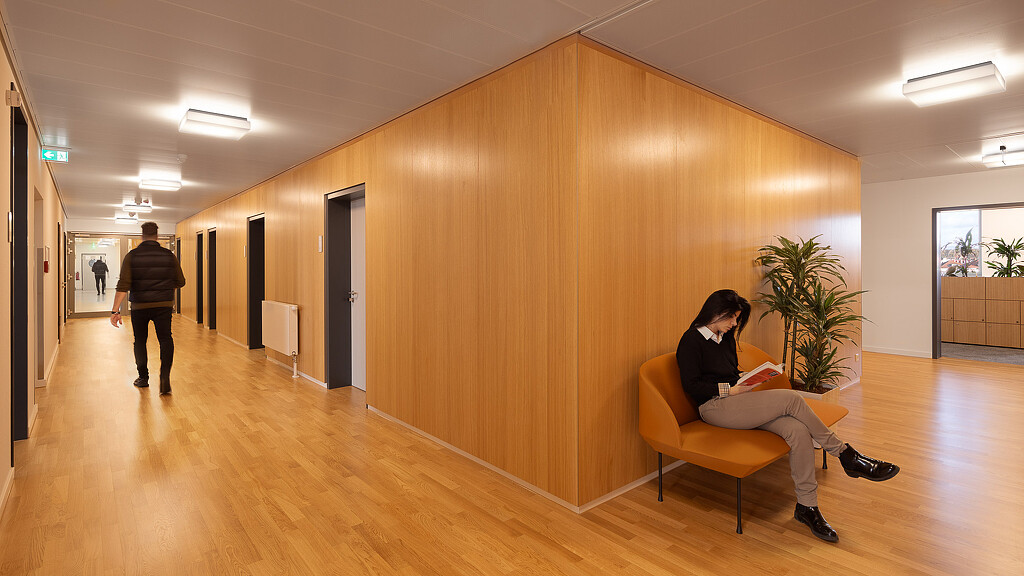 Roche Potsdam office hallway with wood walls