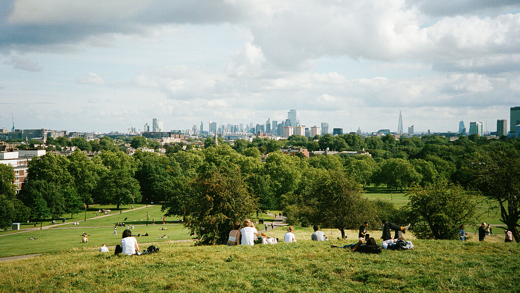 A group of people sitting on a grassy hill with trees and a city in the background.