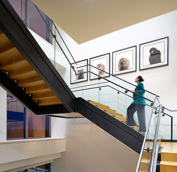 A person standing on a staircase.