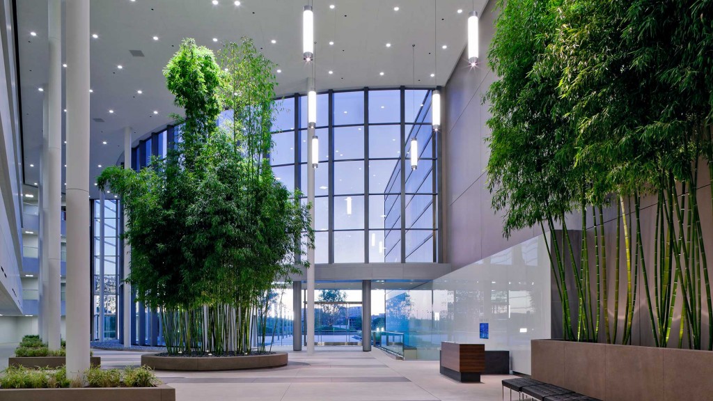A building with glass walls and trees.