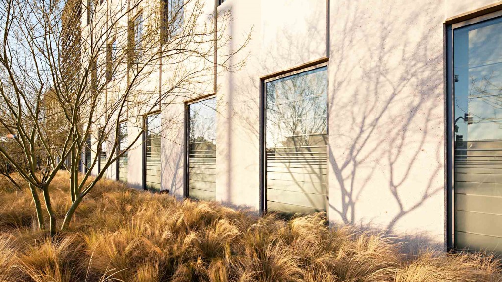 A building with windows and trees in front of it.