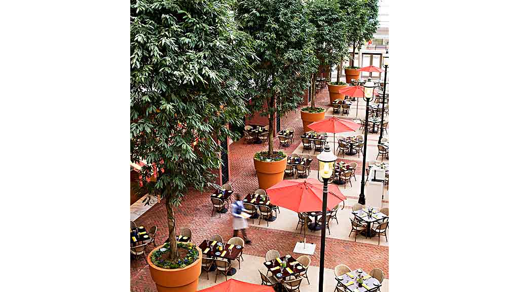 A group of people sit under umbrellas.