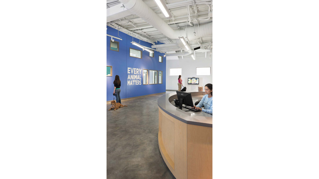 A man working on his laptop.