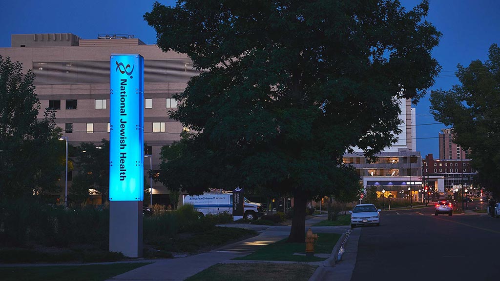 A street with trees and buildings.