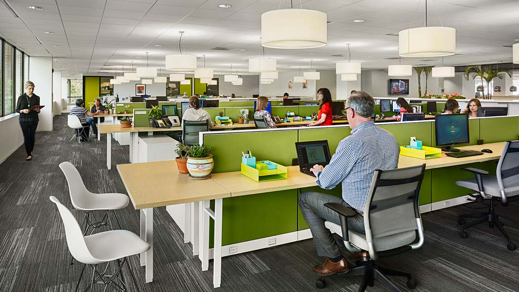 A group of people in an office.