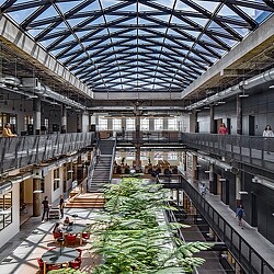 A large indoor planter garden.