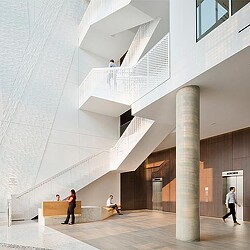 People walking up a staircase.