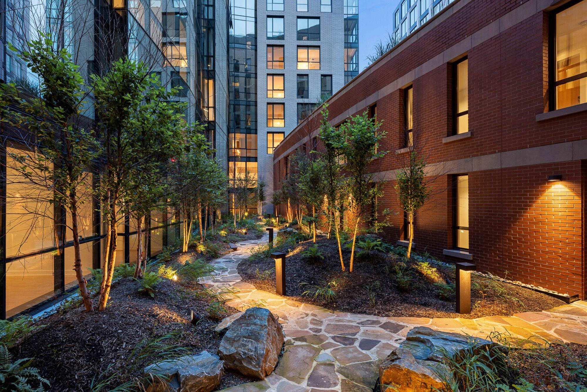 A courtyard with trees and buildings in the background.