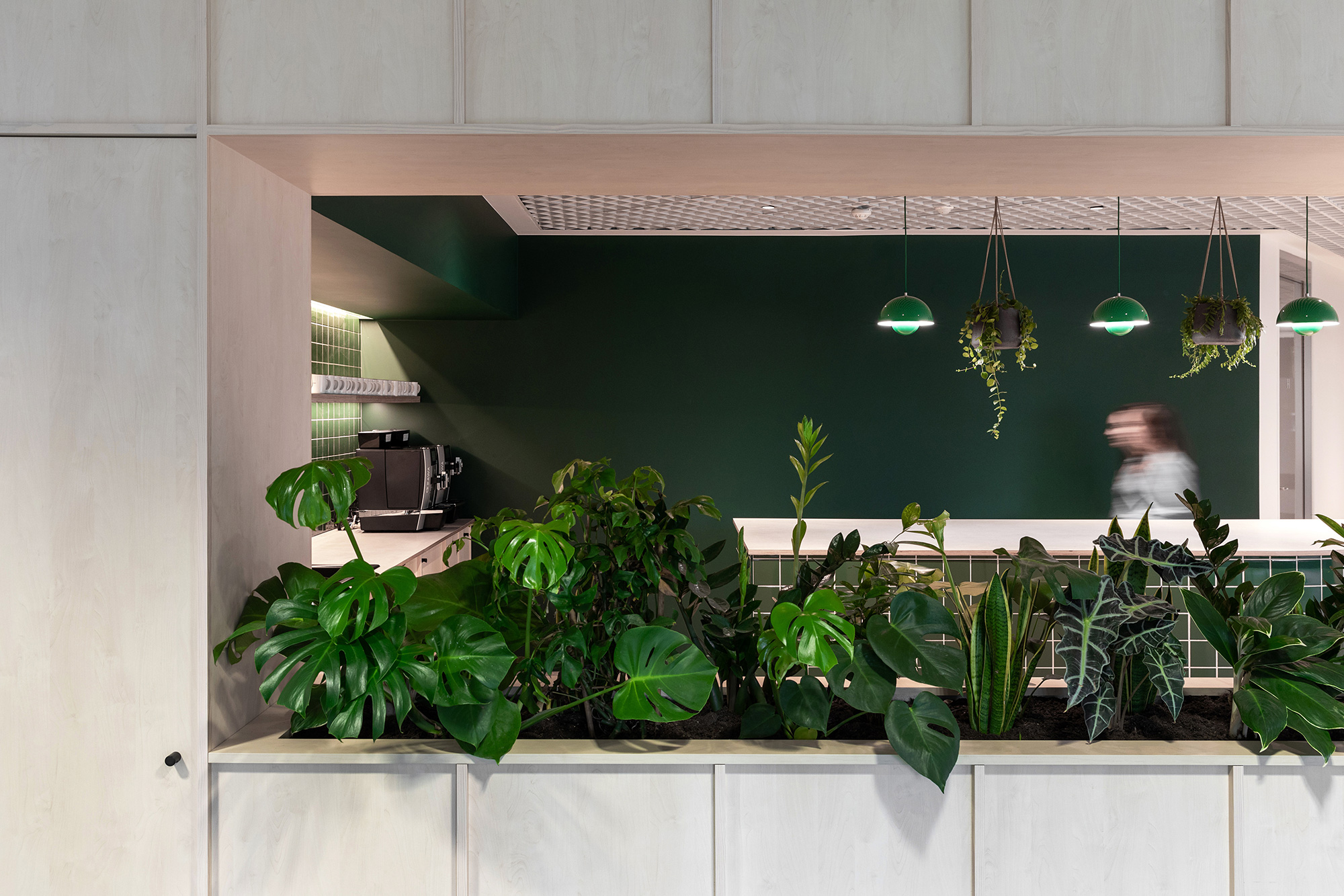 A person standing in a kitchen.