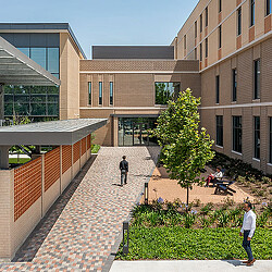 A courtyard with a tree and people.