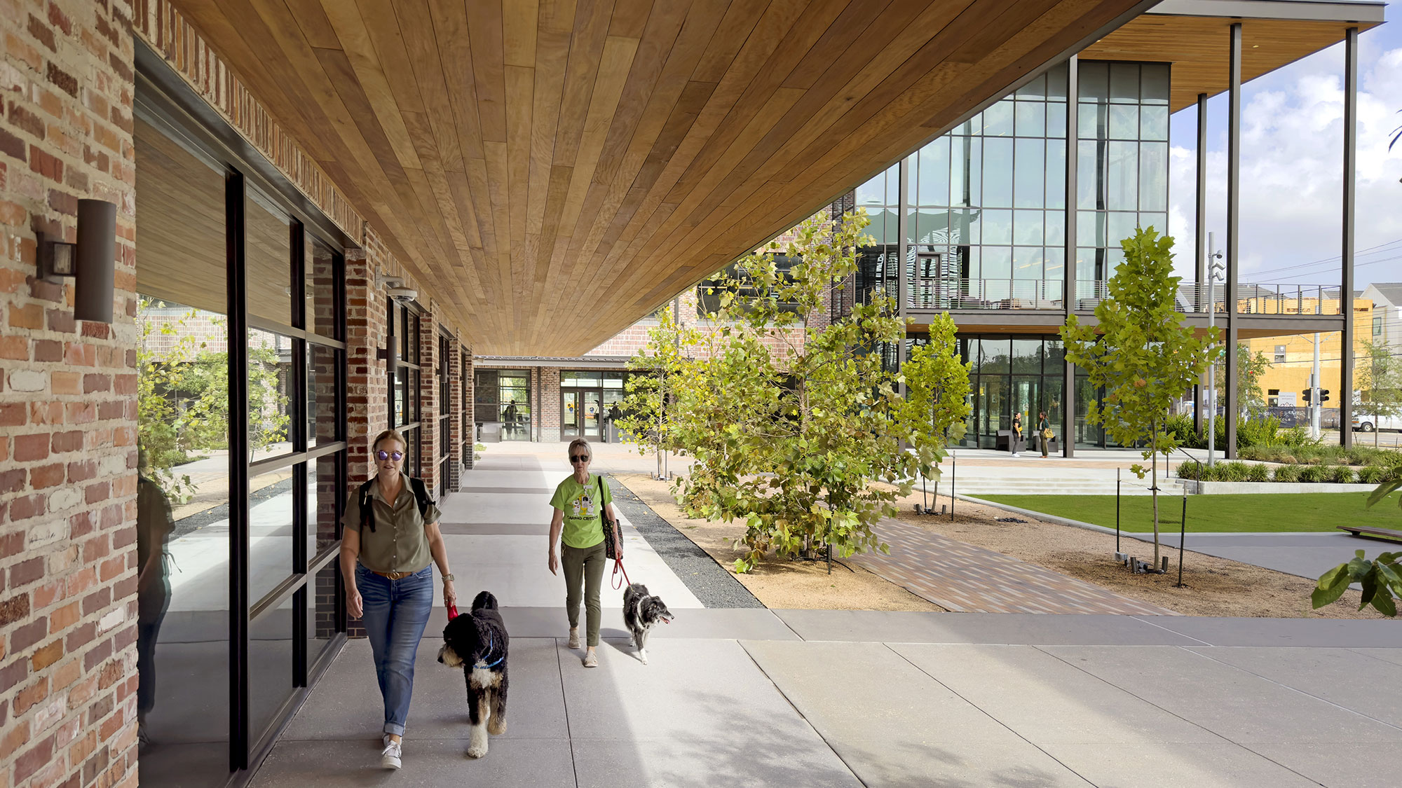 A couple of women walking dogs.