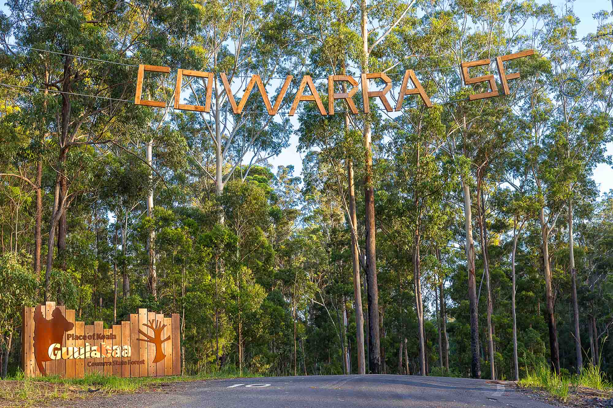A sign in front of trees.
