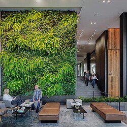 A group of people sitting on the stairs of a building.