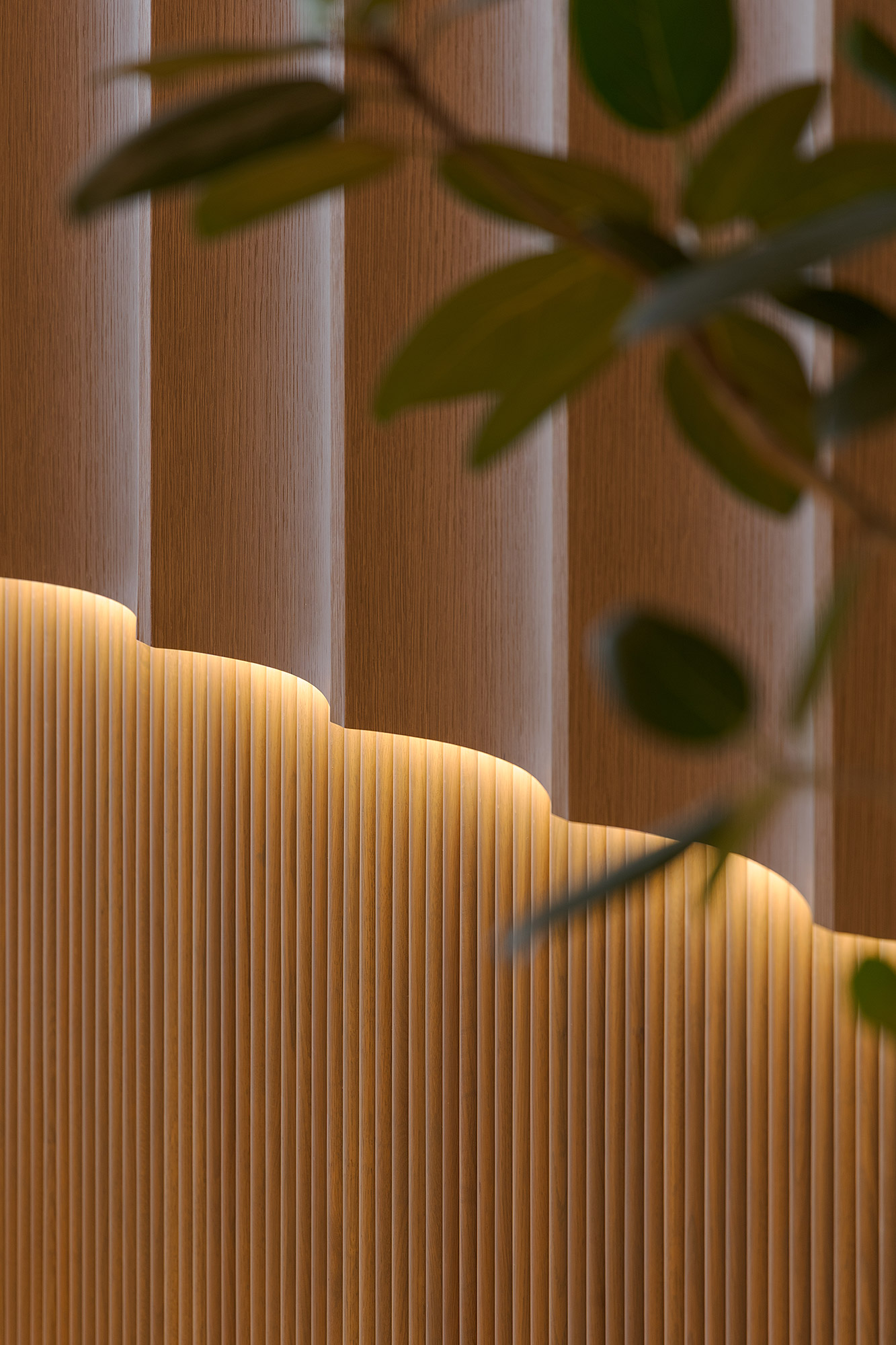 A plant in a pot.