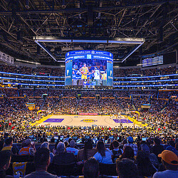 A large crowd of people in a stadium.