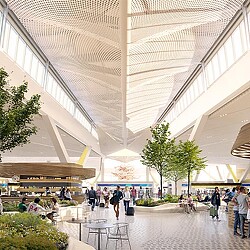 A large open space with people and tables and plants.