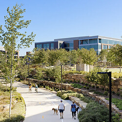 People walking a dog.