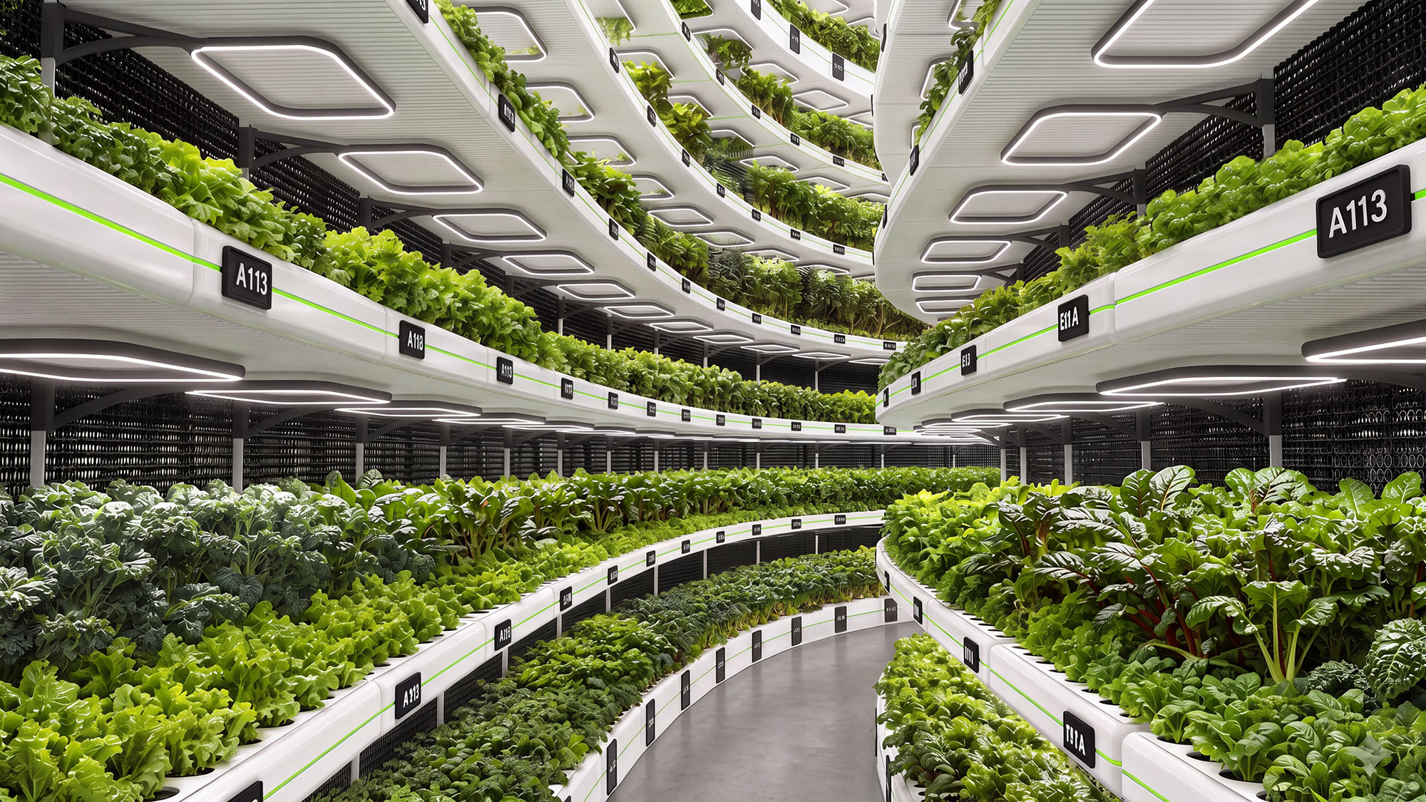 A large indoor planter garden.