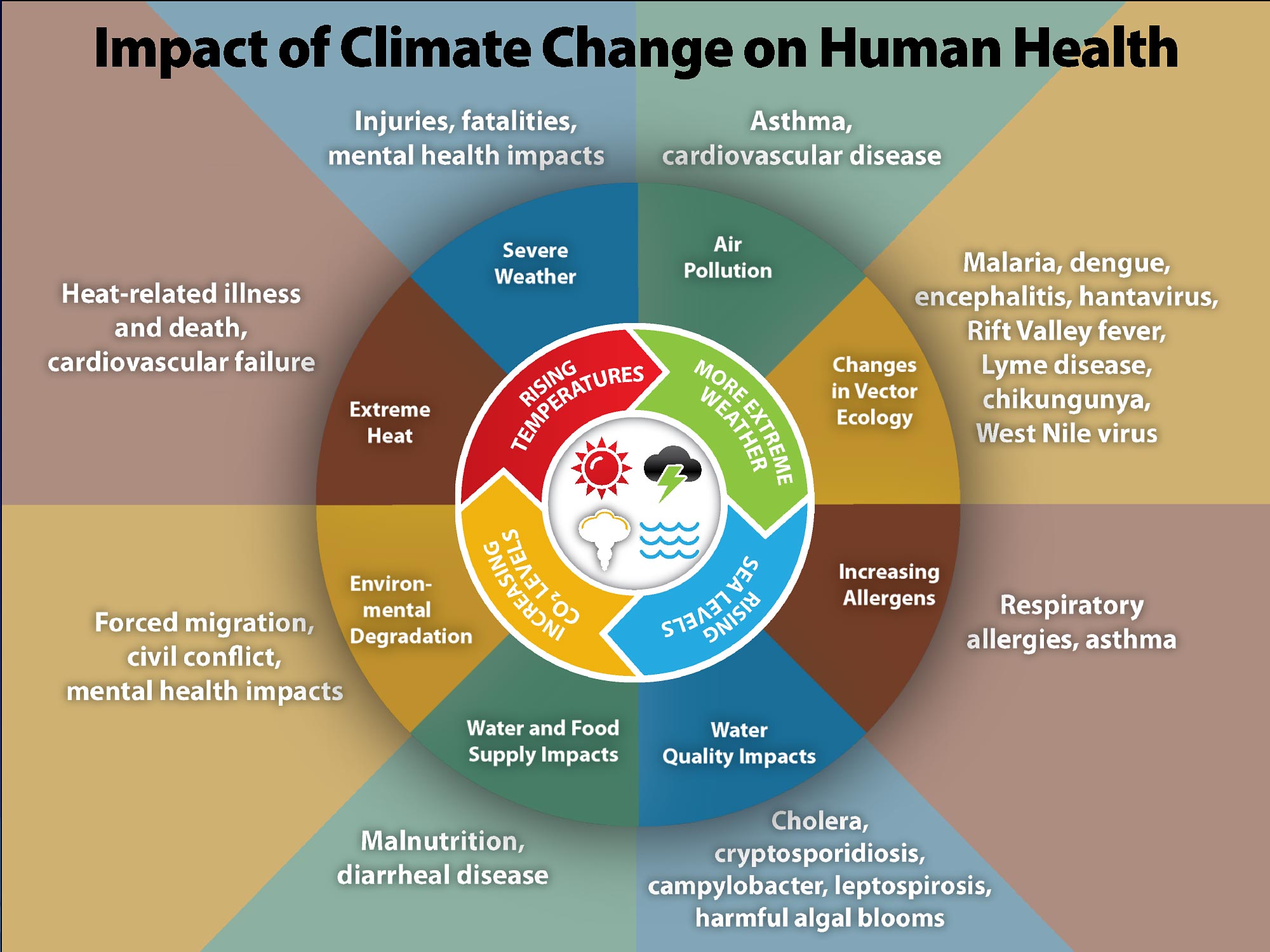 the-most-effective-individual-steps-to-tackle-climate-change-aren-t