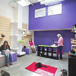 A group of people in a room.