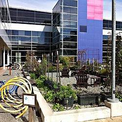 A garden in front of a building.