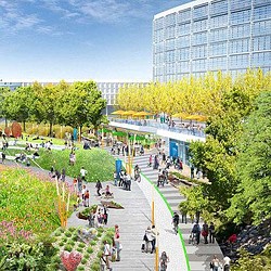 A group of people walking around a park.