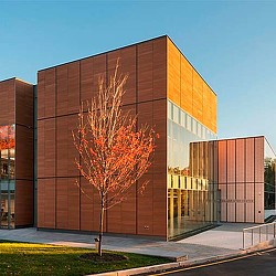 A tree in front of a building.