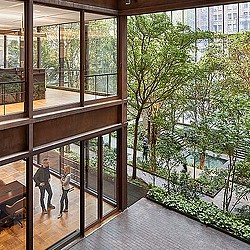 A couple of people walking on a wooden deck.