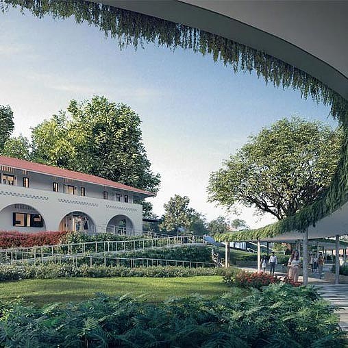 A garden in front of a building.