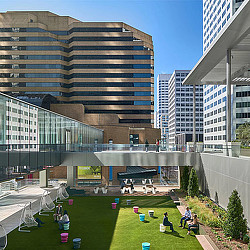 A group of people sitting on a lawn in front of a building.
