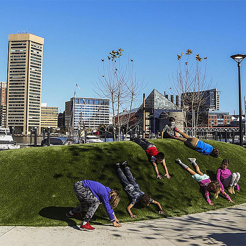 A group of people doing yoga.