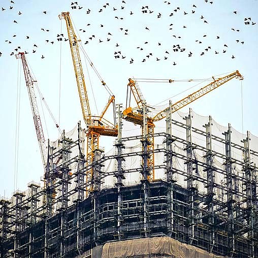 Cranes flying over a construction site.