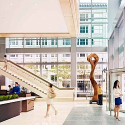 A group of people walking up stairs.