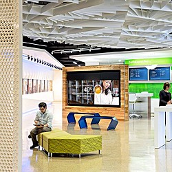 A man and woman in a library.