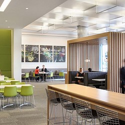 American Multinational Financial Services Corporation